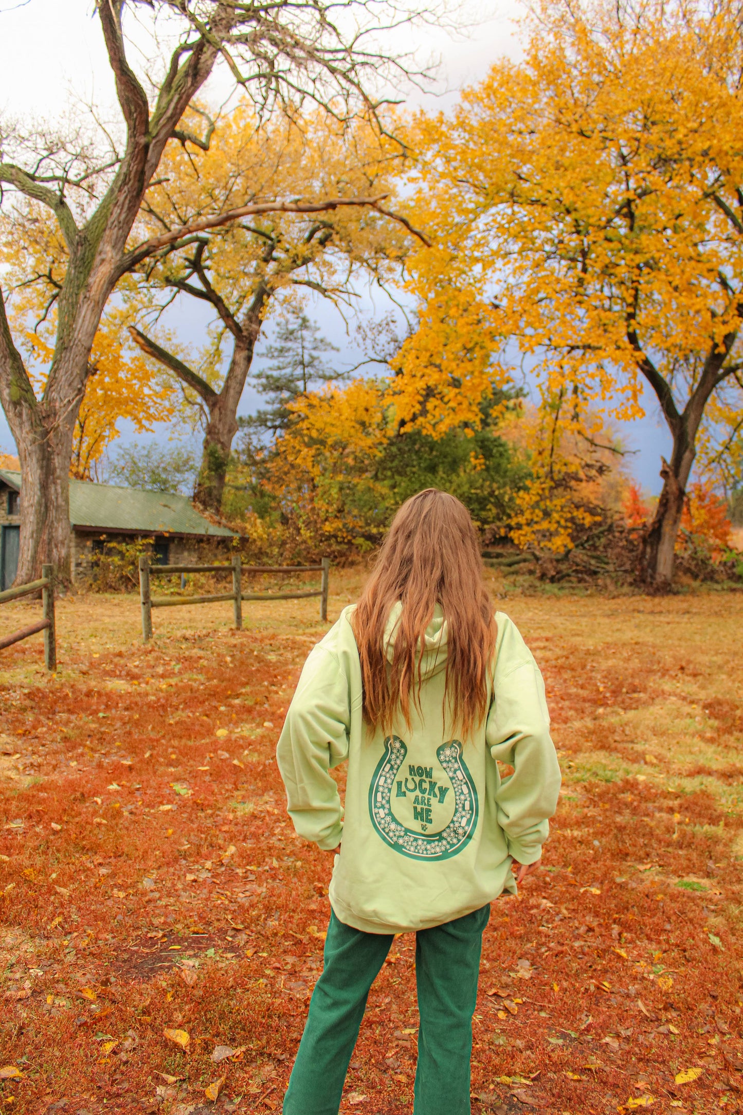 How Lucky Are We Green Hoodie
